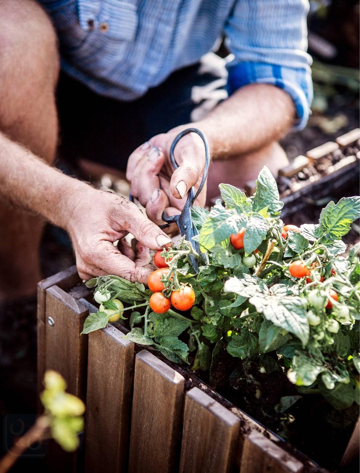 Gazetka promocyjna IKEA str. 84