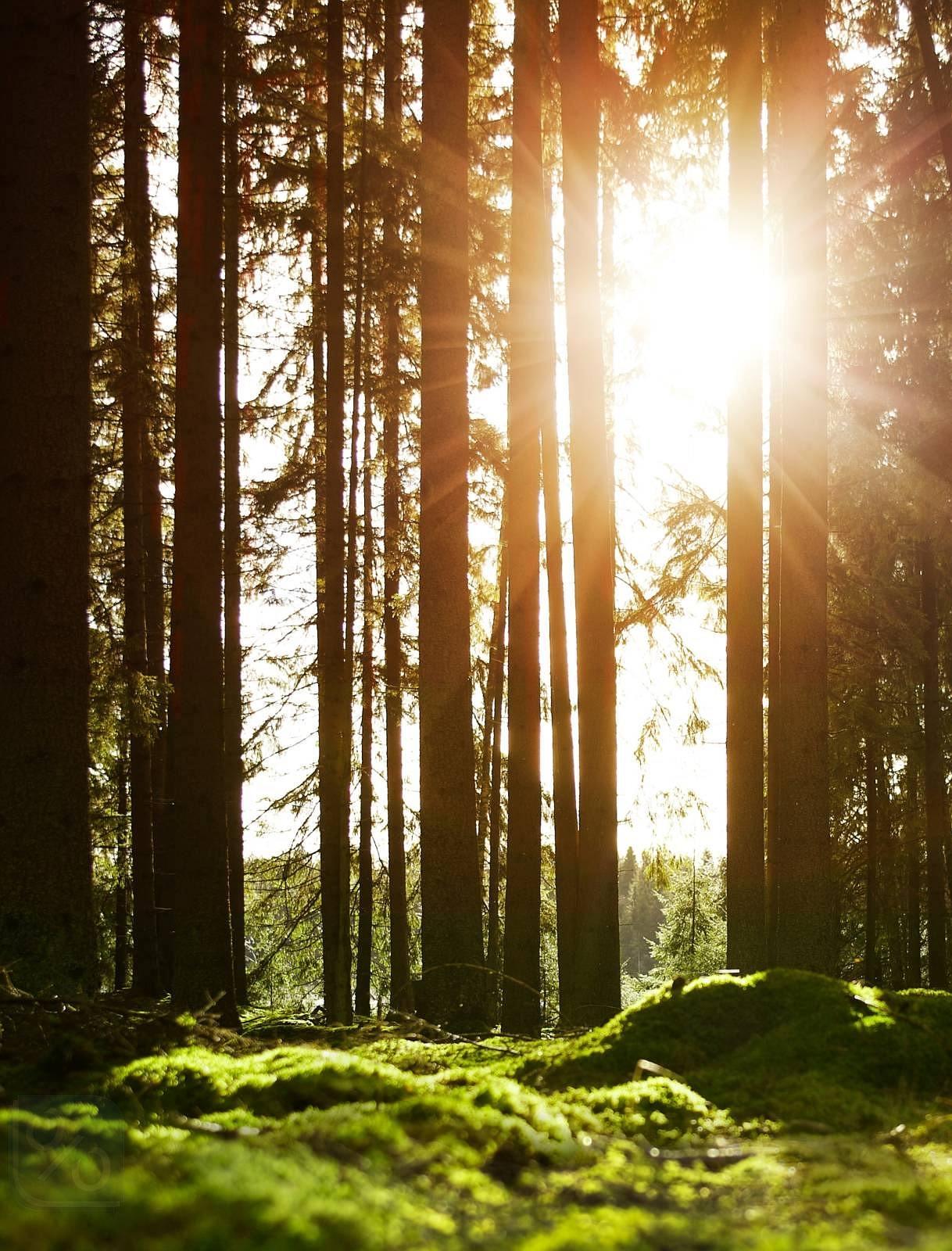 Gazetka promocyjna IKEA str. 98